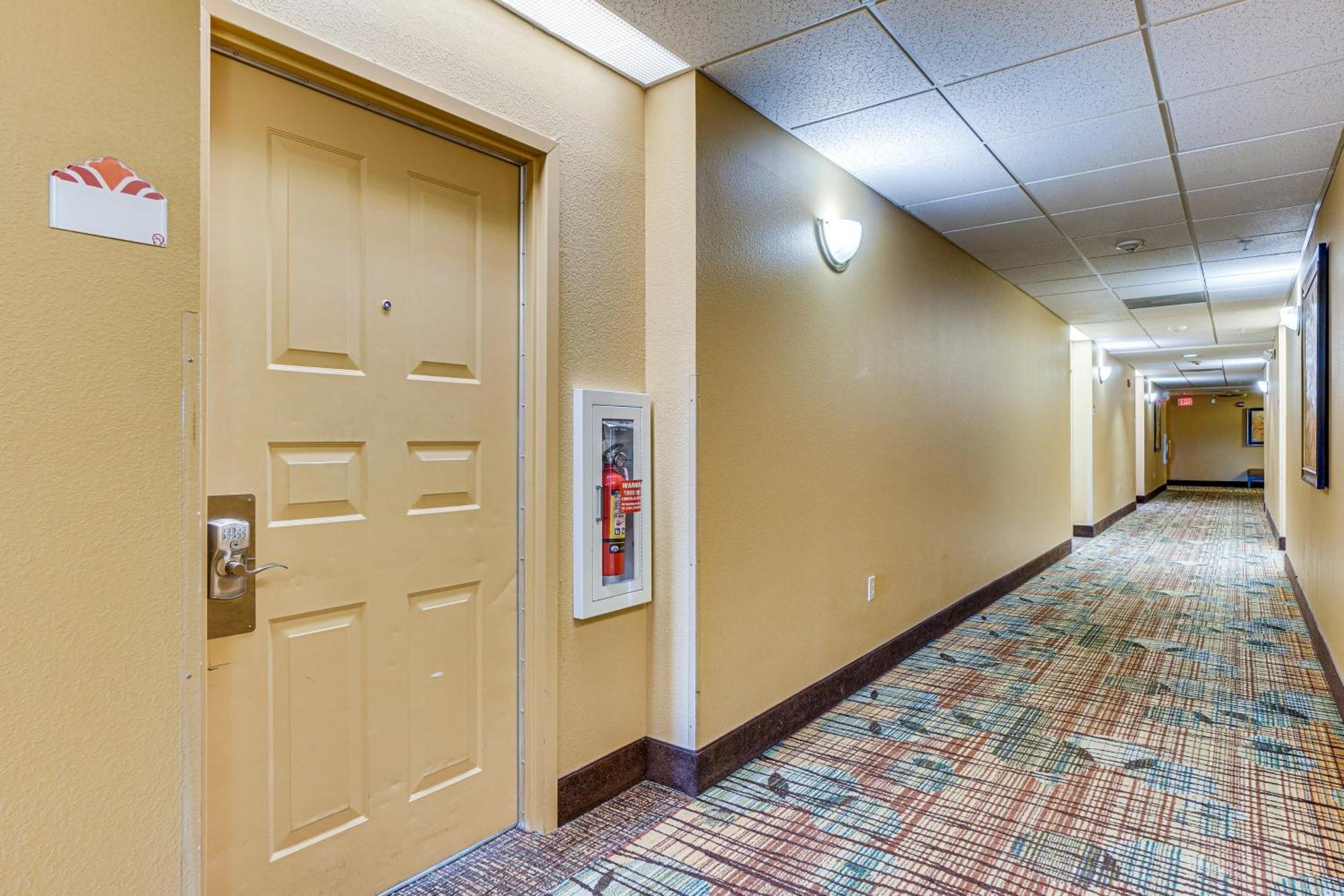 Apartamento Modern - 1 Mi To World! Orlando